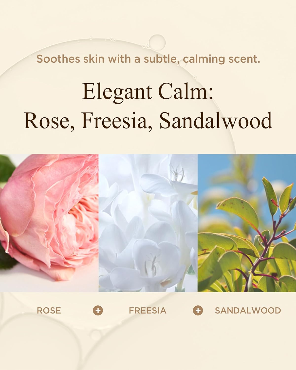 Bon Yeon Jin Korean Red Ginseng Face Emulsion Lotion for Dry Skin Deep Hydrating Anti-Aging Fiming with Ceramide, Hyaluronic Acid and Shea Butter for Women & Men 5.41 fl.oz.