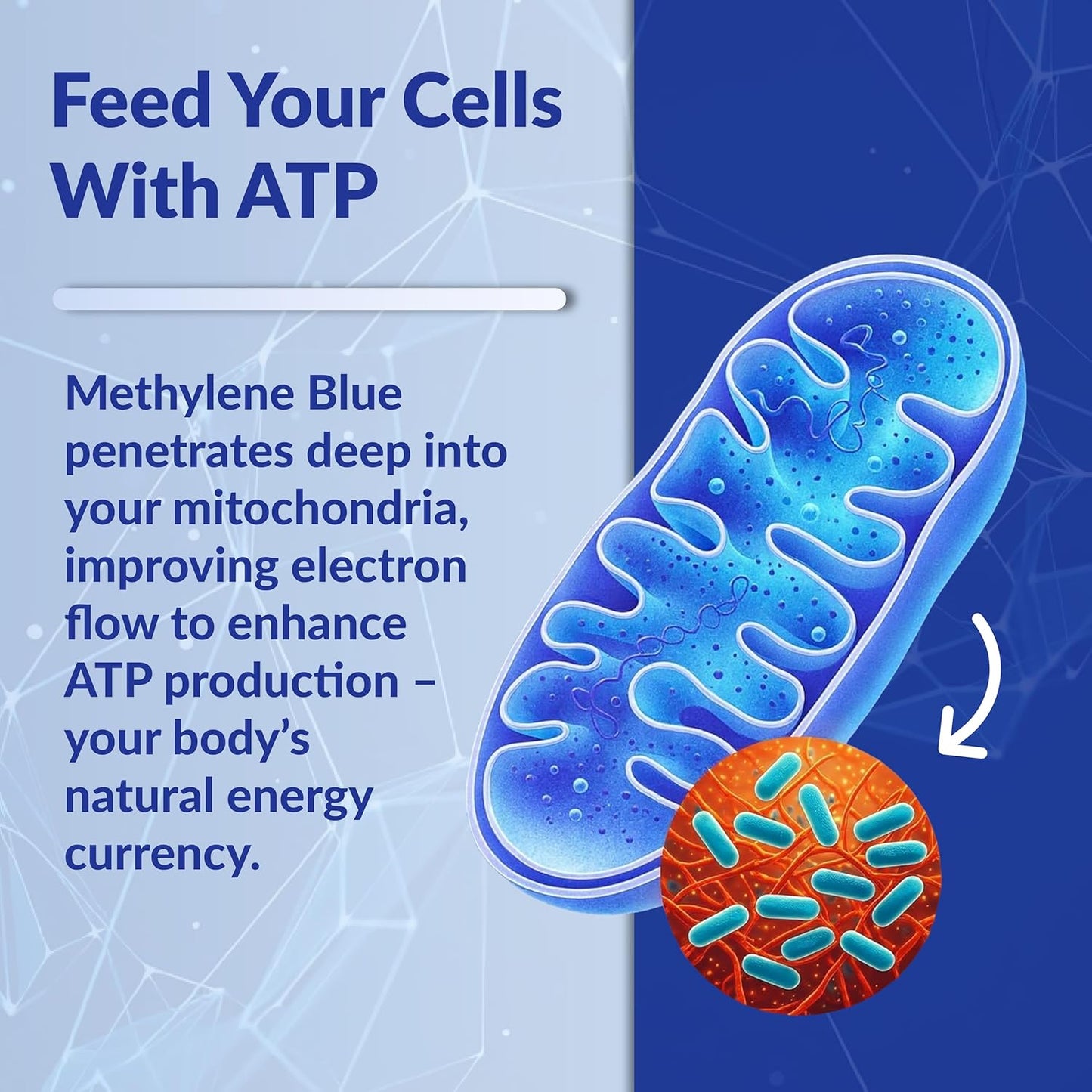 Methylene Blue Drops Pharmaceutical Grade - USP Liquid 10mg/mL - High Potency Nootropic Supplement - Blue Methylene Pure Liquid Concentrate - USP Grade Cognitive Support Drops – 2 Fl Oz (60mL)