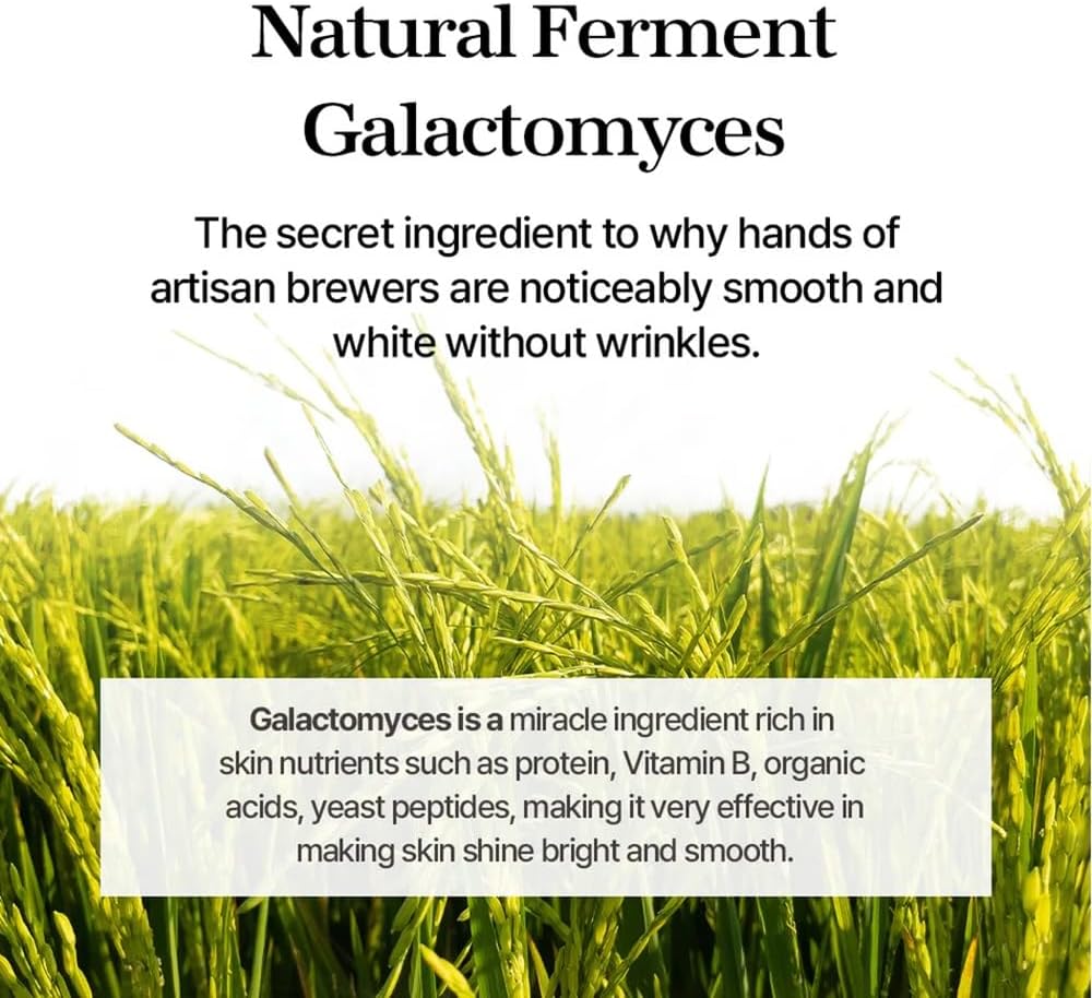 mixsoon Galactomyces Ferment Essence - Deep Moisture, Tone Clarifying Essence to Smooth Skin for Dull, Uneven Skin - Korean Skincare for Glass Skin - Vegan (3.38 fl.oz / 100ml)