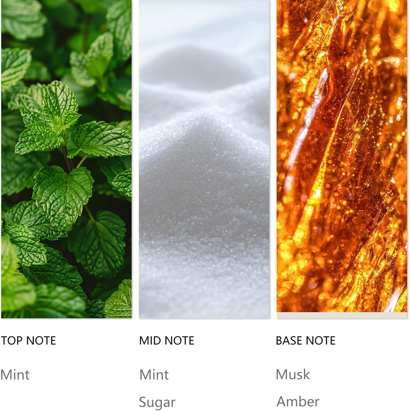 Hotel Waterless Diffuser Oil Candy Mints, Essential Scent Oil Usage Cold Air Waterless Diffuser, Luxury Scents Oils Fragrance Bottle120 ML Home Natural Flavour