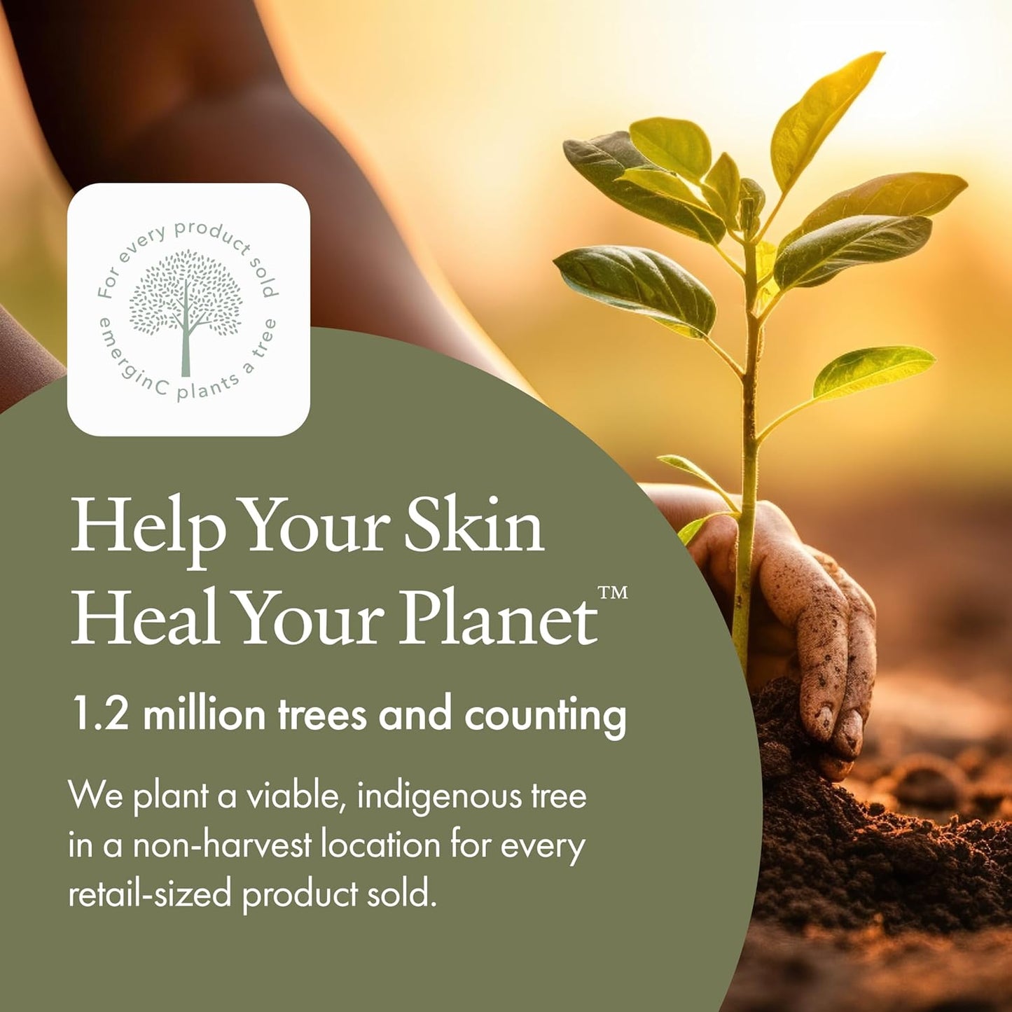 emerginC Deglazing Toner - Facial Toner with Eucalyptus + Peppermint for Oily, Combination + Blemish Prone Skin (8.1 oz, 240 ml)