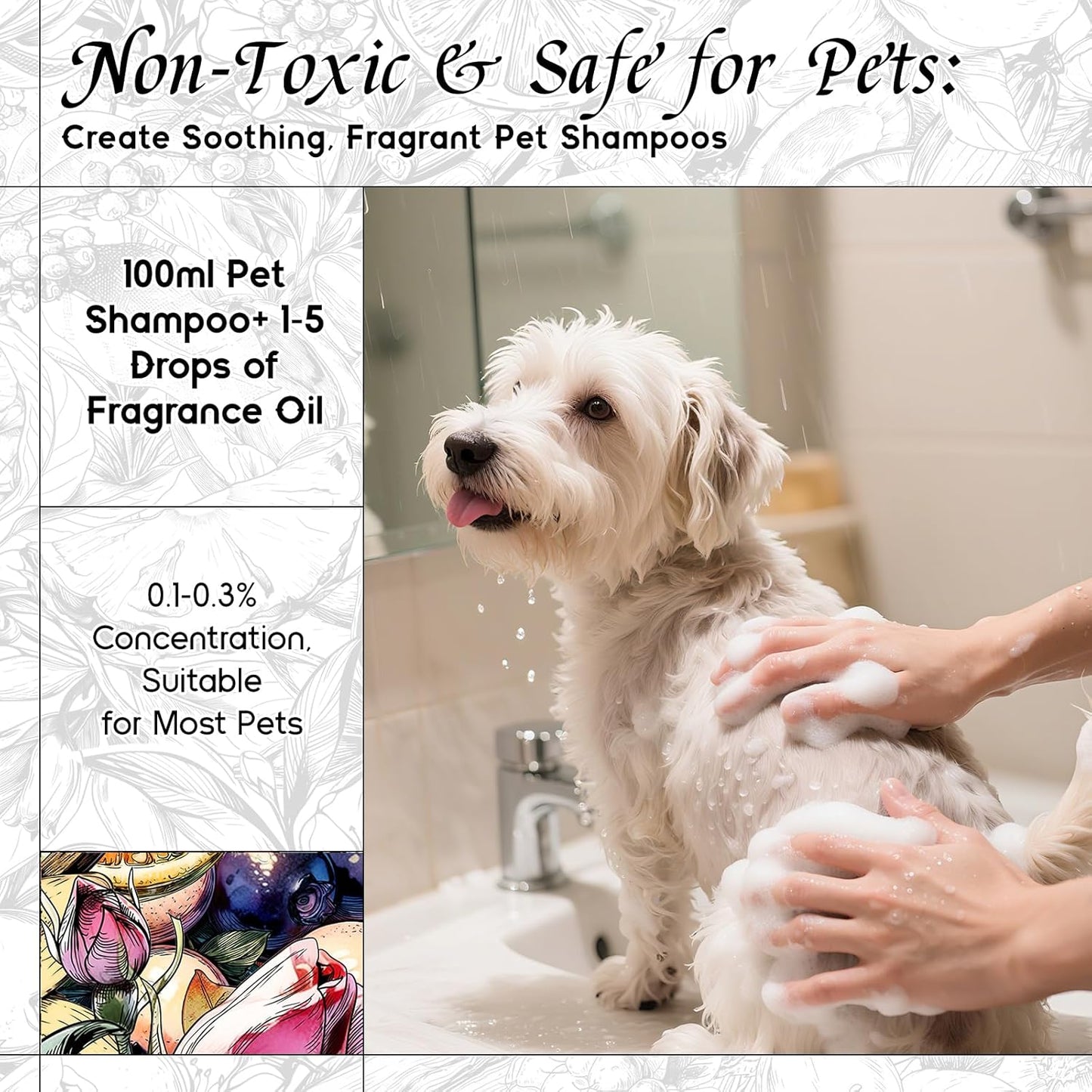 HIQILI Life Serendipity Fragrance Oil for Candle Making, Inspired by Chane. Chance, DIY Perfume, Bath Bombs, Aromatherapy, Long-Lasting Scent - 5.07 Fl Oz